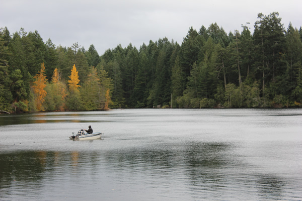 Fishing at Durrance Lake in the Fall. Saanich, Victoria BC.
