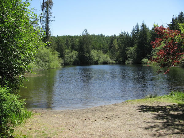 The beach at Eagles Lake in the Highlands near Victoria, BC. The beach at Eagles Lake in the Highlands near Victoria, BC.