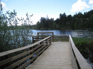 Viewpoint at Florence Lake in Langford near Victoria, BC Viewpoint at Florence Lake in Langford near Victoria, BC