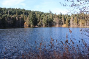 Killarney Lake in Mount Work Park. Saanich, Victoria BC. Killarney Lake in Mount Work Park. Saanich, Victoria BC.
