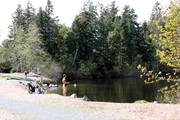 Lookout Lake in Colwood near Victoria BC. Lookout Lake in Colwood near Victoria BC.