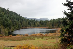 Pease Lake in Mount Work Park. Highlands, Victoria BC. Pease Lake in Mount Work Park. Highlands, Victoria BC.