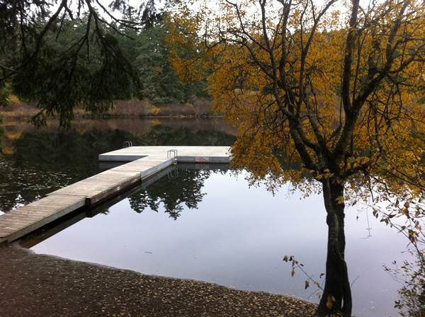 Dock at Prior Lake near Victoria, BC in the fall. Photograph by Adam Ungstad. Dock at Prior Lake near Victoria, BC in the fall. Photograph by Adam Ungstad.