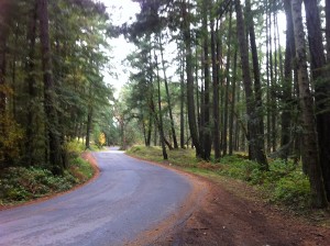 Highland Road near Prior Lake in Victoria, BC. Highland Road near Prior Lake in Victoria, BC.