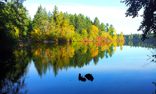 Reflection at Elk / Beaver Lake. Photograph by @YYJPics. Reflection at Elk / Beaver Lake. Photograph by @YYJPics.