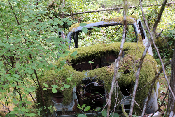 Abandoned car on Corry Road near Fork Lake in the Highlands, Victoria, BC.