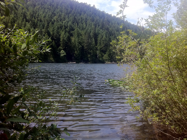 Pease Lake in Mount Work Park. Highlands, Victoria BC. Pease Lake in Mount Work Park. Highlands, Victoria BC.