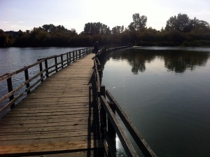 Boardwalk at Swan Lake in Victoria, BC.