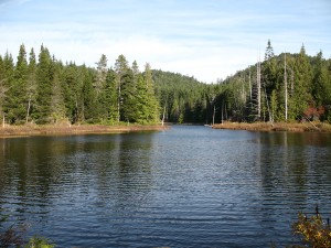 Grass Lake in Sooke, BC. Photograph by Tracy Clifford. Grass Lake in Sooke, BC. Photograph by Tracy Clifford.